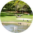 Image for Atalaya Golf & Country Club - New Course course